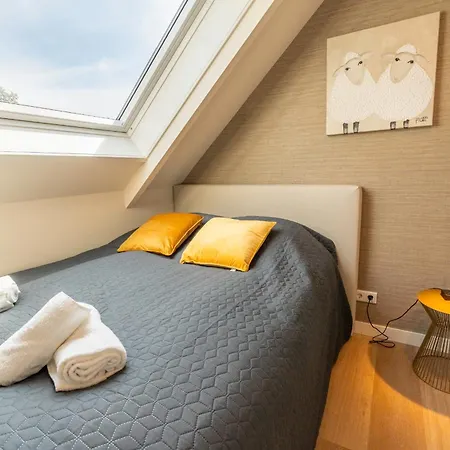 Orchismient 39 - Noordhonck 데쿠크