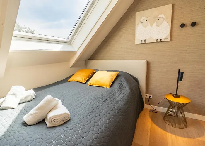 Orchismient 39 - Noordhonck 데쿠크